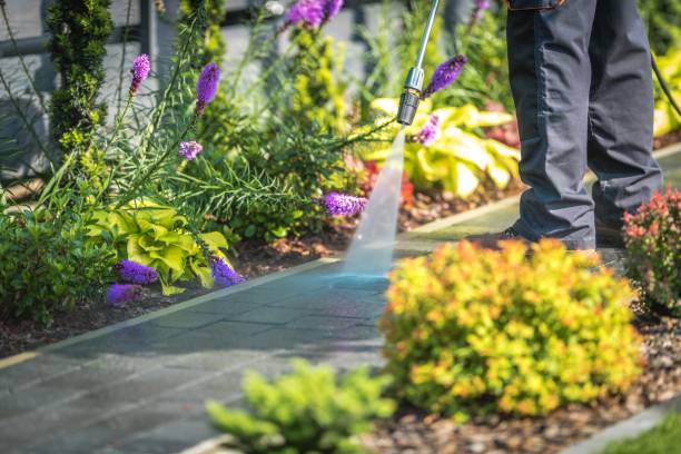 Best Brick and Stone Cleaning in Pea Ridge, FL
