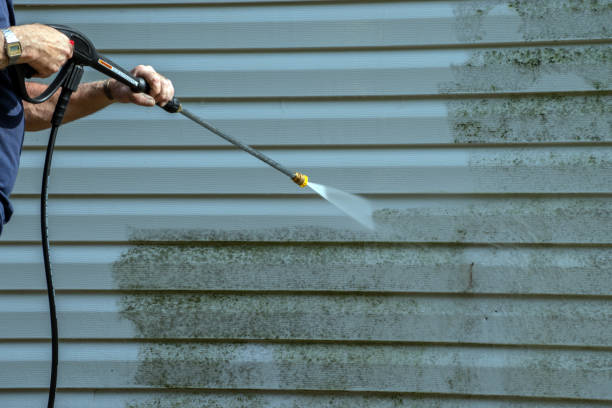 Best Vinyl Siding Pressure Washing in Pea Ridge, FL