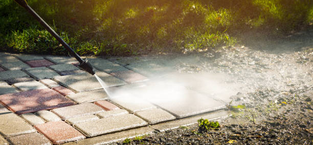 Best Gutter Cleaning and Brightening in Pea Ridge, FL